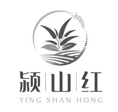 河南省颍山红农业开发有限公司