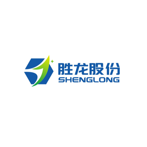 郑州胜龙信息技术股份有限公司